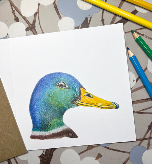 Duck / Bird Greeting Card / Greetings Card / Blank Inside