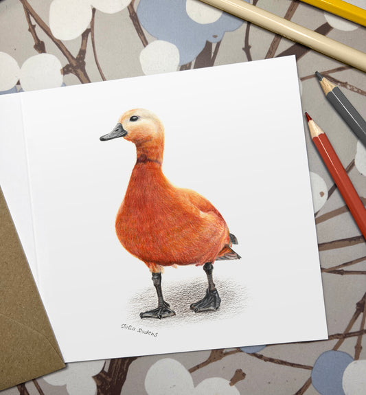 Goose / Bird Greeting Card / Greetings Card / Blank Inside