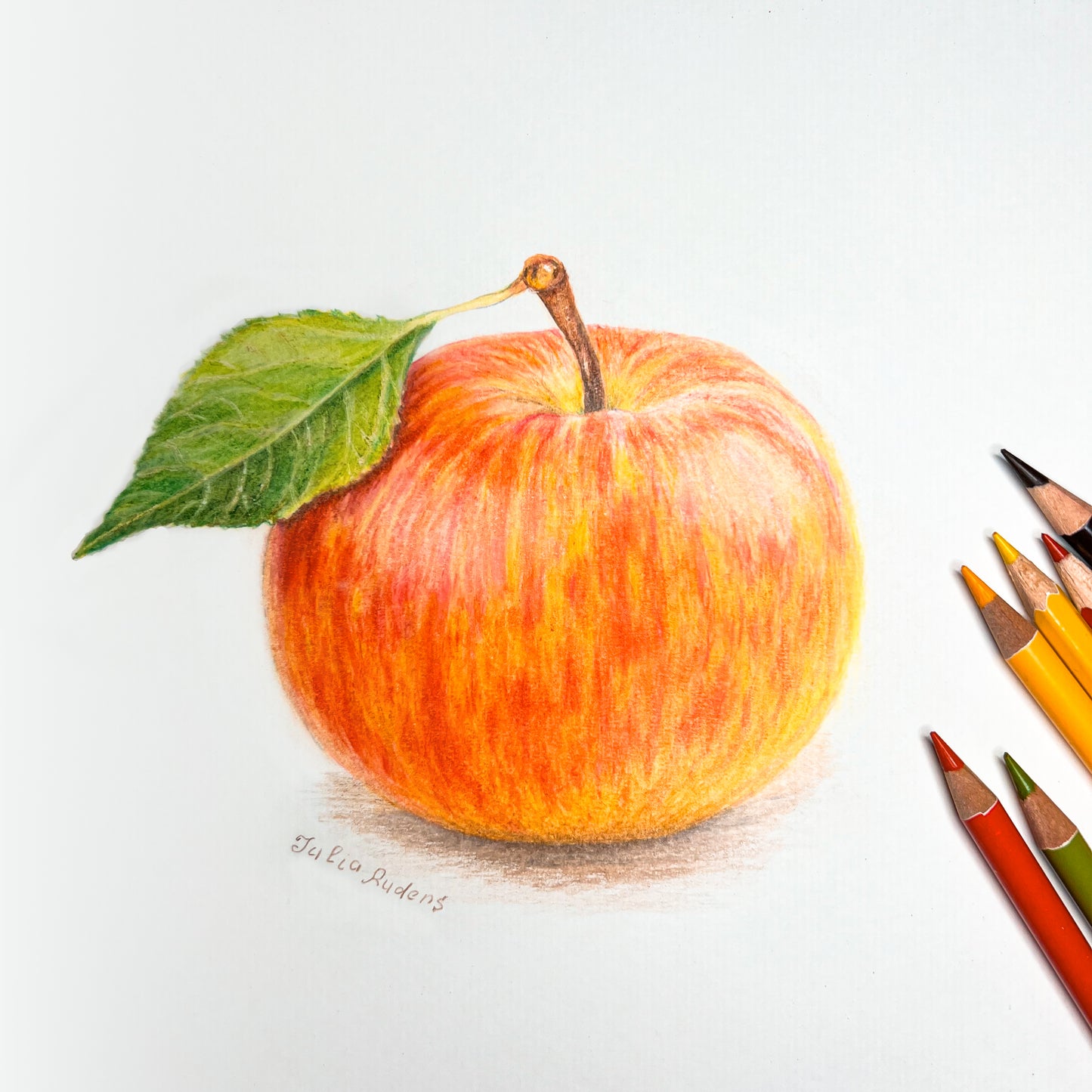 Red-Yellow Apple | Drawing on Paper | 8x11 | Wall Art |