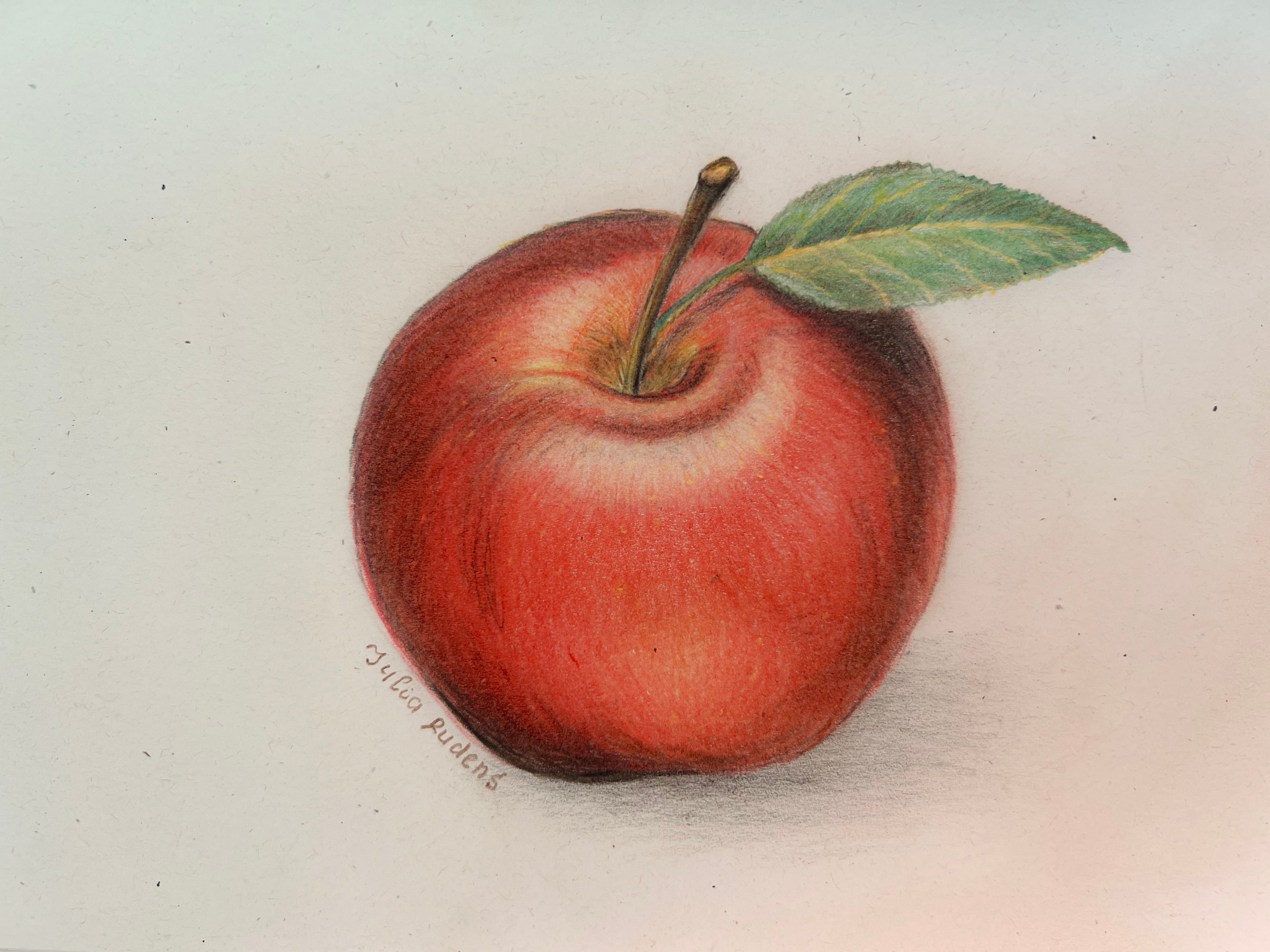 MY REALISTIC PENCIL DRAWING OF AN APPLE — Hive