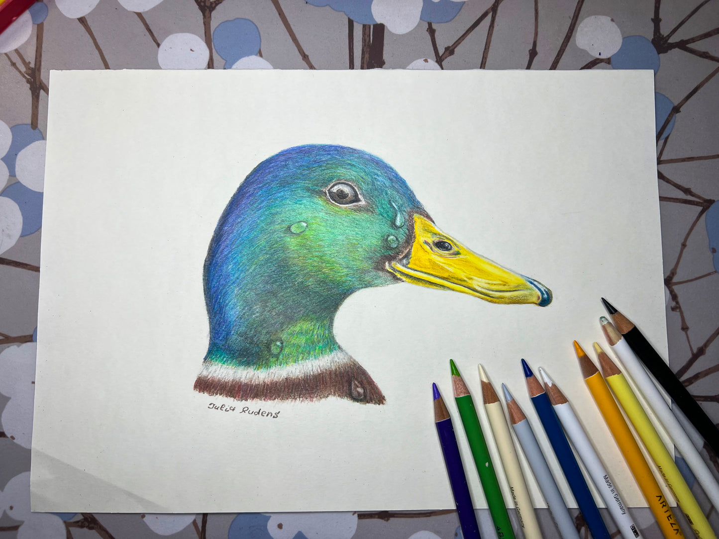 Duck | Drawing on Paper | 11x8 | Wall Art |