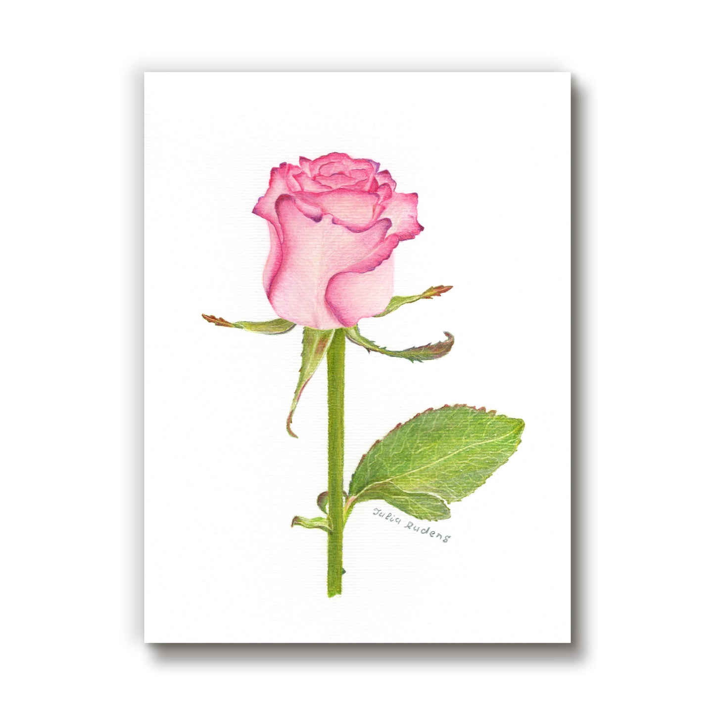 Rose | Drawing on Paper | 8x11 | Wall Art |